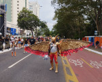 Fantasias no Corso de Teresina 2024