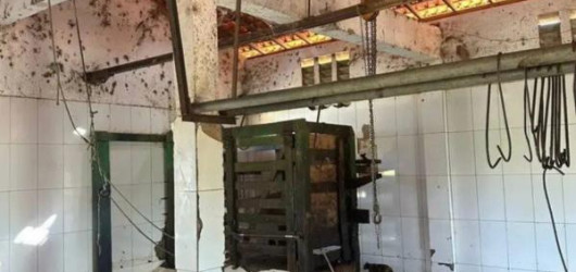 Justiça manda fechar matadouro no Piauí após flagrante de sujeira e urubus