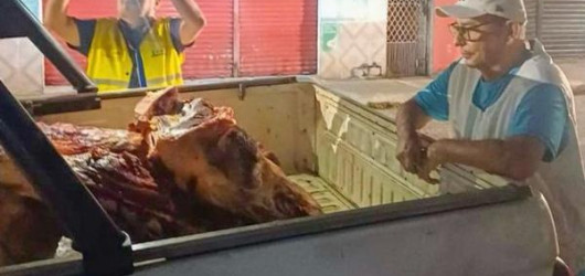 Vigilância Sanitária apreende 288 kg de carne clandestina em Teresina
