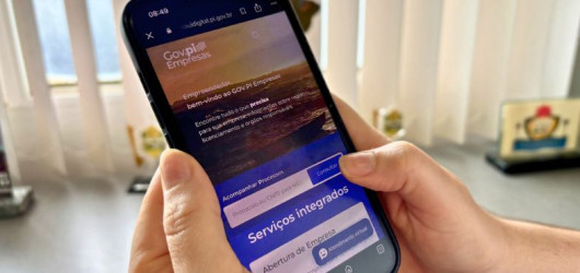 Veja como funciona a abertura de empresas online no Piauí