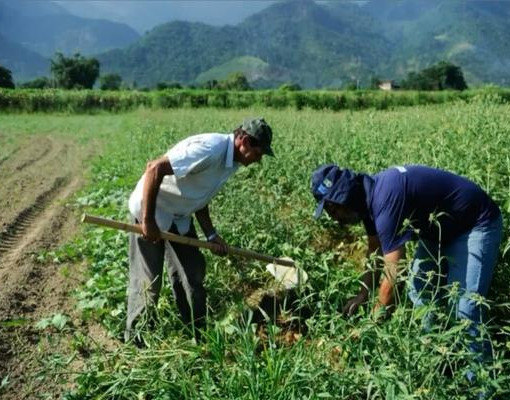 Agricultura familiar no Piauí recebe novo pacote de investimentos