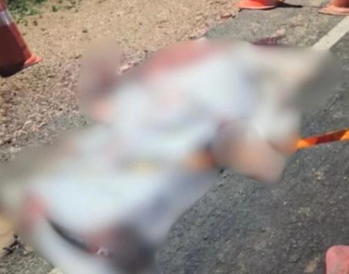 Idoso morre atropelado ao tentar atravessar rodovia no Piauí
