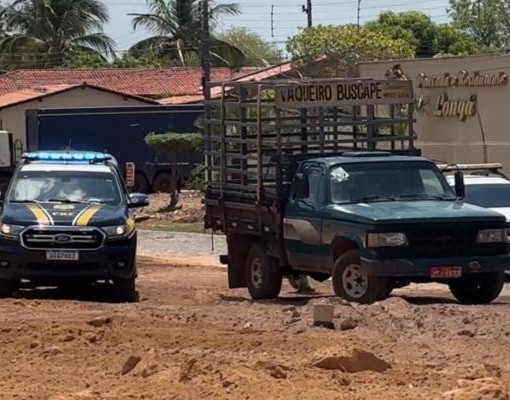 Duas pessoas são presas e 15 animais são recolhidos na Operação Porteira Fechada em Alto Longá
