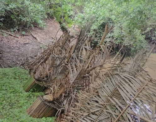 Armadilhas ilegais são destruídas durante operação ambiental em União