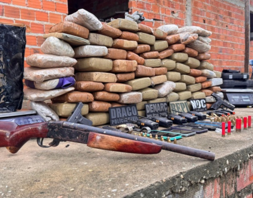 Delegado detalha apreensão de quase 1 tonelada de drogas entre Caxias e Timon