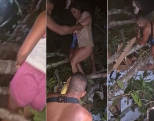 Vídeo: Árvore cai sobre casa e 