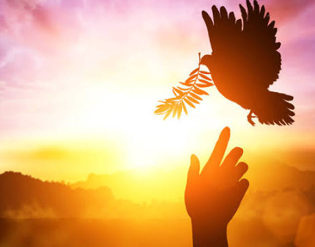 Um pacto social pela paz