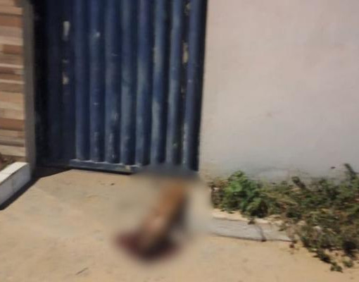 Ataque a tiros deixa dois feridos e cachorro morto na Zona Norte de Teresina