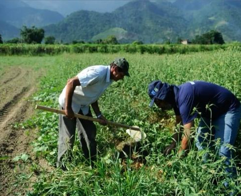 Agricultura familiar no Piauí recebe novo pacote de investimentos