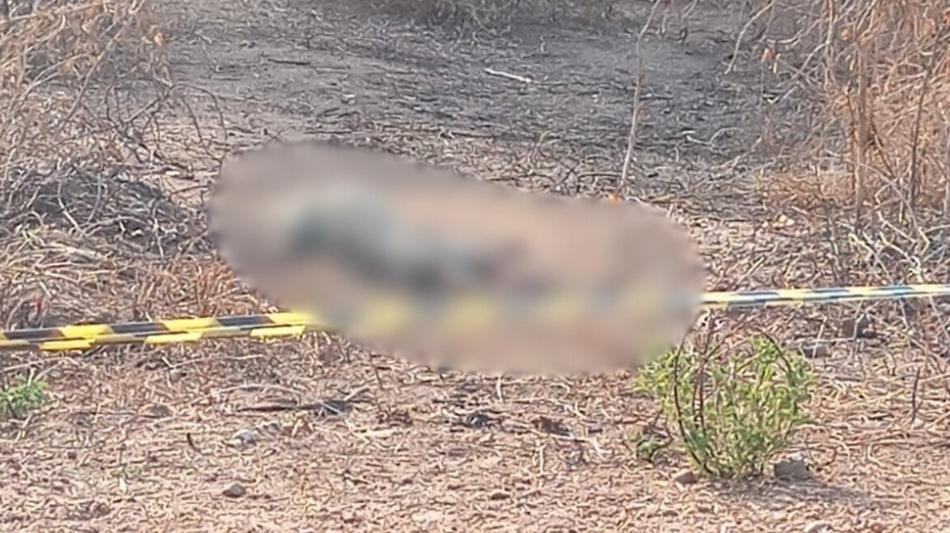 DHPP investiga morte de homem não identificado em área de mata na Santa Maria