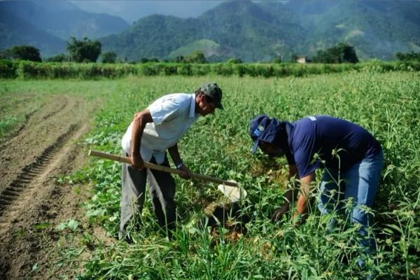 Agricultura familiar no Piauí recebe novo pacote de investimentos