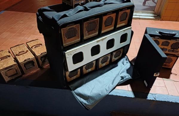 PRF apreende aves silvestres transportadas irregularmente em Picos