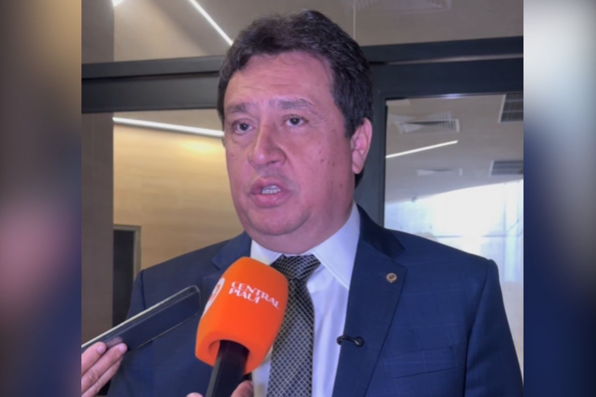 Nerinho avalia gestão na Defesa Civil e participa de votações na Alepi