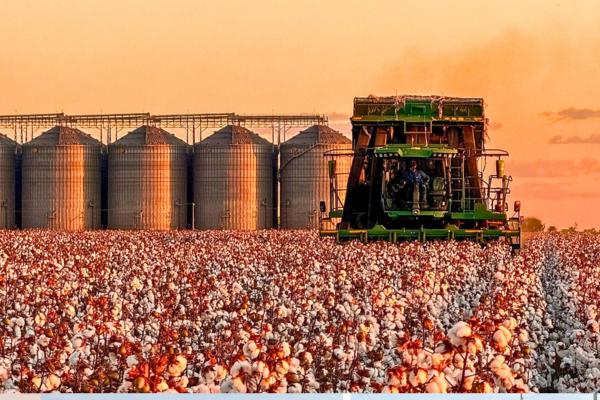 Piauí exporta US$ 22,1 milhões em dezembro e registra superávit comercial, aponta MDIC