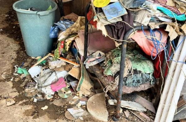 Idosa de 74 anos e 10 animais são resgatados em Parnaíba