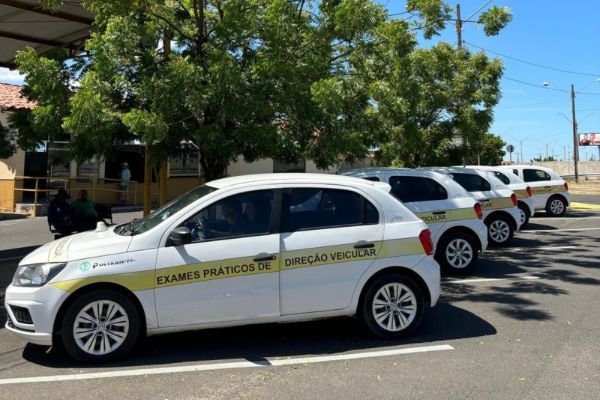 Detran do Piauí abre cadastro para instrutores autônomos com novas regras