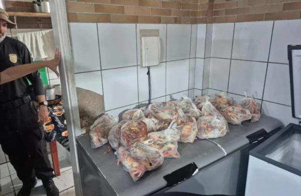 Caranguejo-uçá é apreendido durante defeso em estabelecimento no litoral