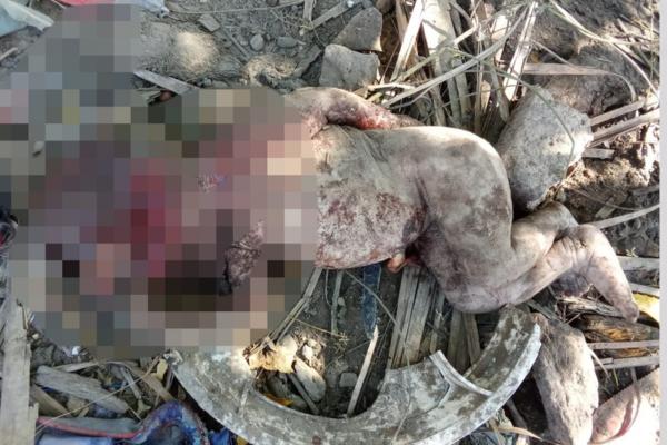 Corpo de bebê é encontrado sem cabeça em área abandonada em Porto do Piauí