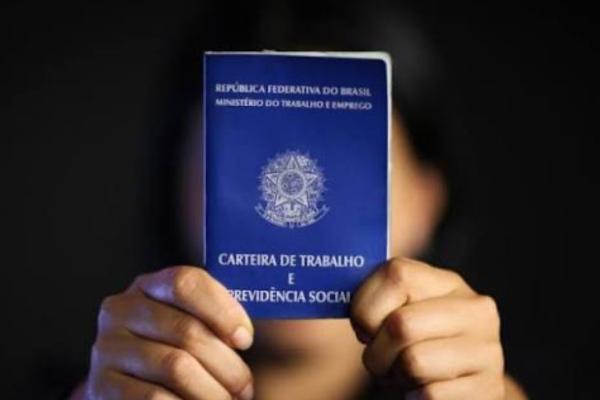 IBGE aponta informalidade recorde e queda de empregos rurais no Piauí