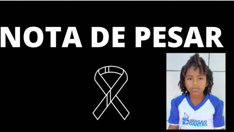 Escola lamenta morte de criança atacada por pitbull na zona Leste de Teresina