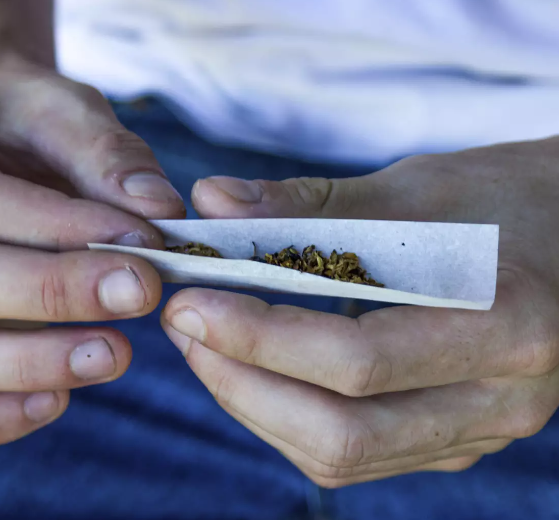 Maconha para uso pessoal é descriminalizada pelo STF