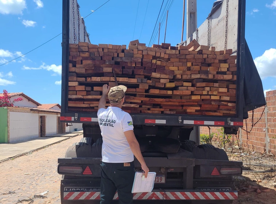 PRF apreende madeira ilegal equivalente a 500 árvores em Parnaíba