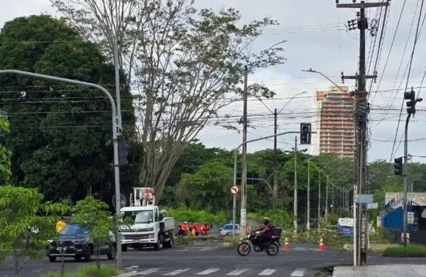 Árvore atinge rede elétrica e provoca falta de energia na zona Leste de Teresina
