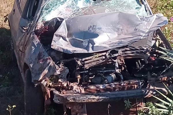 Carro colide com jumento e mata dona de casa em Lagoa Alegre