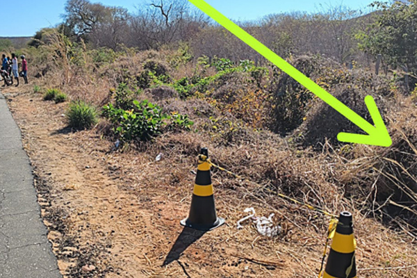 Corpo de jovem desaparecida é encontrado às margens da BR-135 em Redenção do Gurgueia