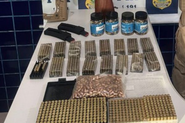 Polícia apreende arsenal e mais de 1500 munições no Sul do Piauí