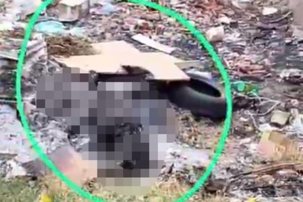 Corpo carbonizado é encontrado em terreno baldio no Planalto Ininga