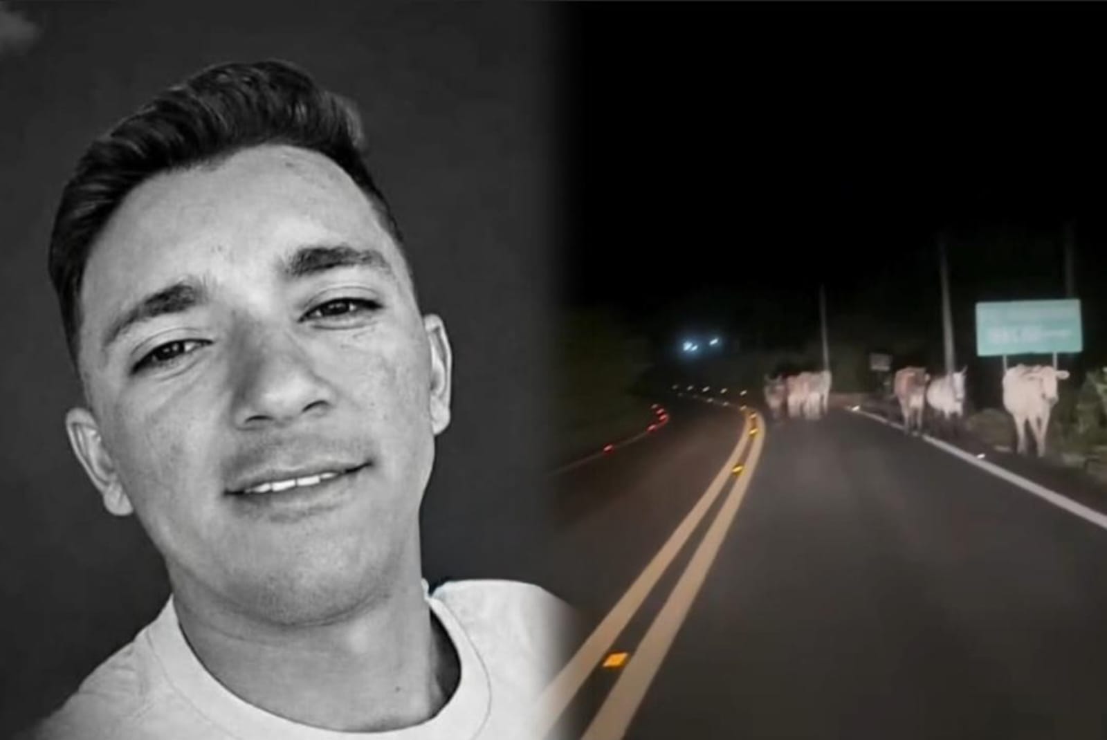 Homem morre em colisão com vaca na BR-222 após sair de festejo no Piauí