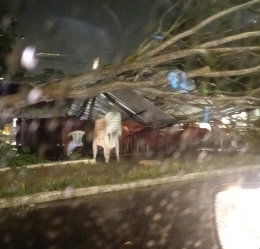 Chuva derruba árvore sobre trailer e alaga ruas e avenidas em Teresina