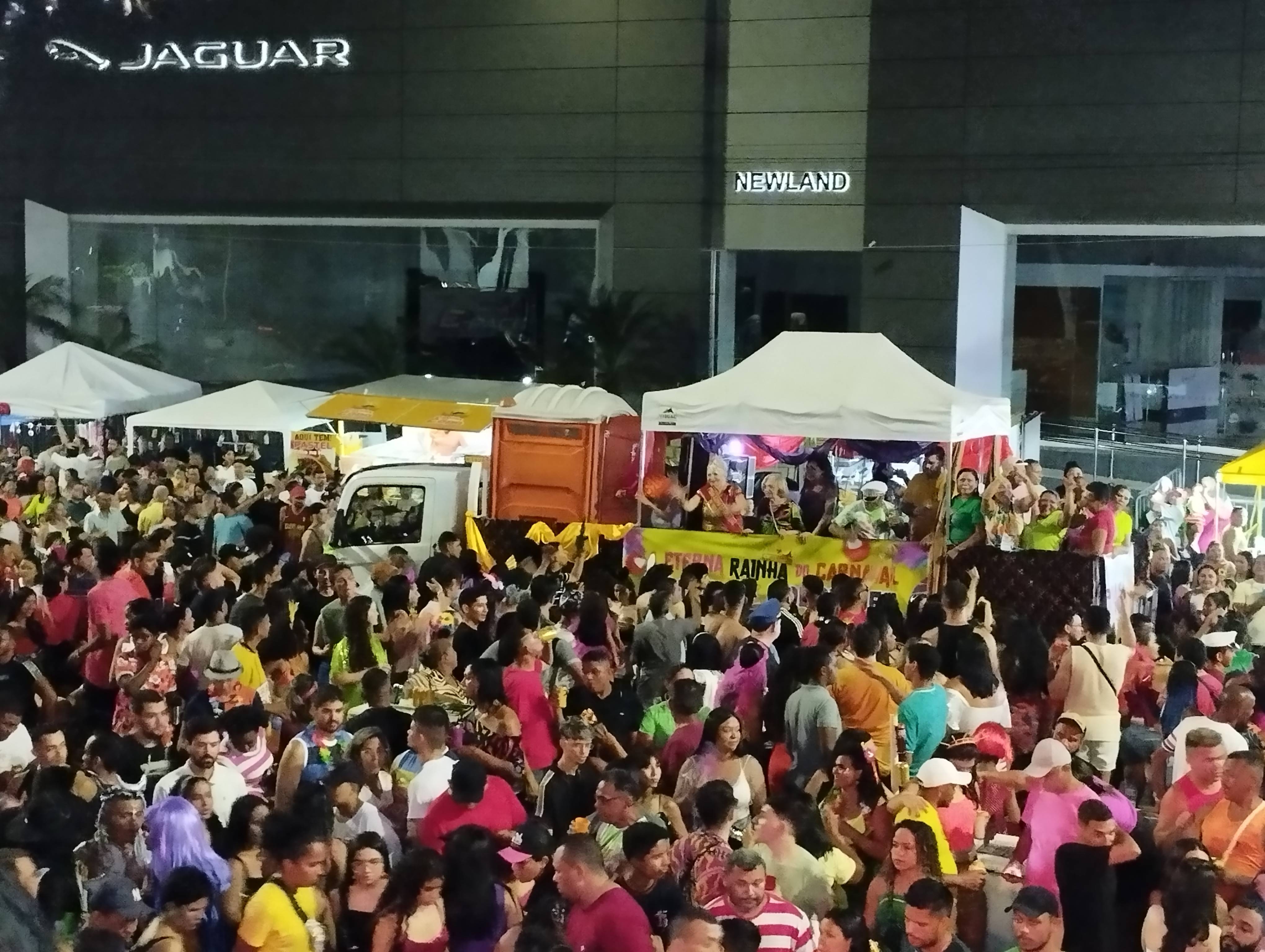 Fantasias no Corso de Teresina 2024