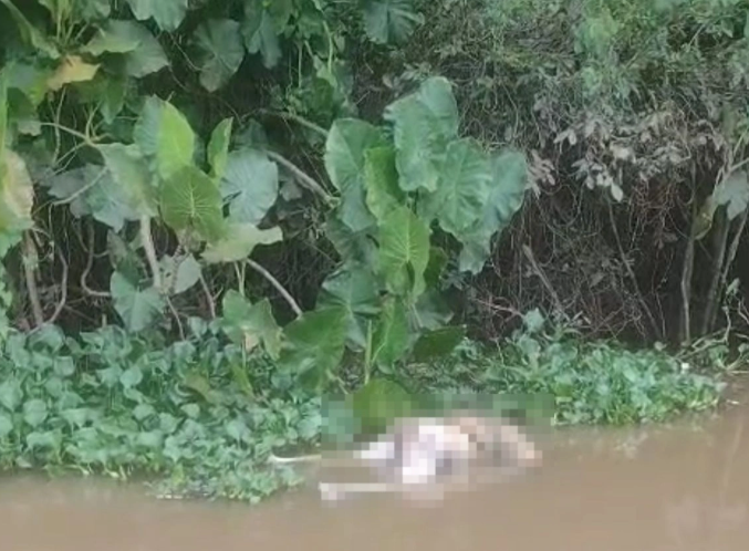 Corpo de homem é encontrado às margens do Rio Poti em Teresina