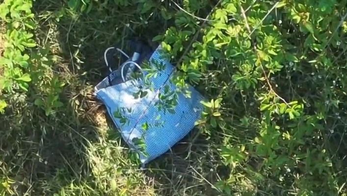 Corpo de idoso desaparecido há oito dias é encontrado em mata de Altos