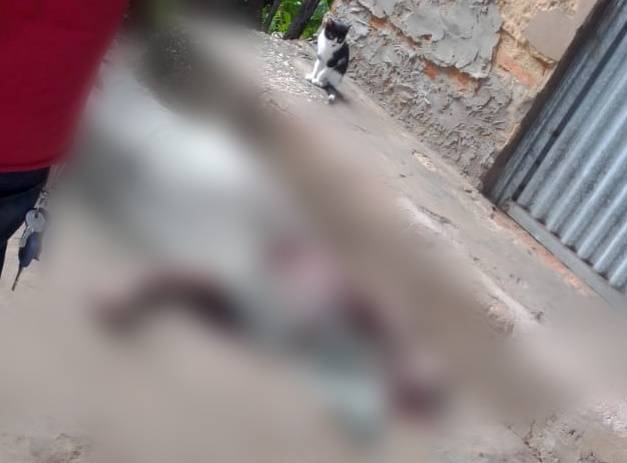 Homem é encontrado morto com marcas de agressão na cabeça em Timon