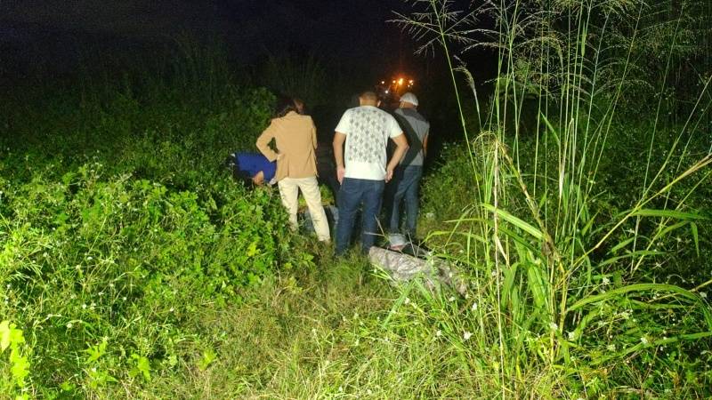 Bandidos executam jovem a tiros em matagal na 