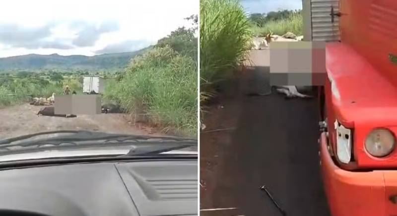 Colisão deixa duas pessoas feridas e mata mais de 15 animais no Piauí