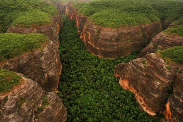Piauí registra maior queda de desmatamento da Mata Atlântica no país