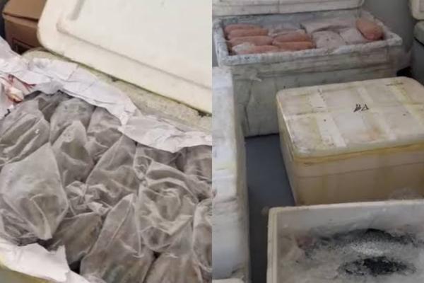 PRF intercepta mais de 600 kg de alimentos irregulares em rodovia do Piauí