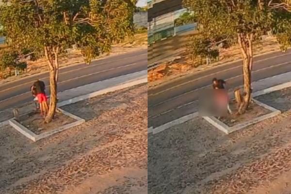 Suspeito de agarrar mulher em ponto de ônibus é preso após vídeo viralizar em Parnaíba